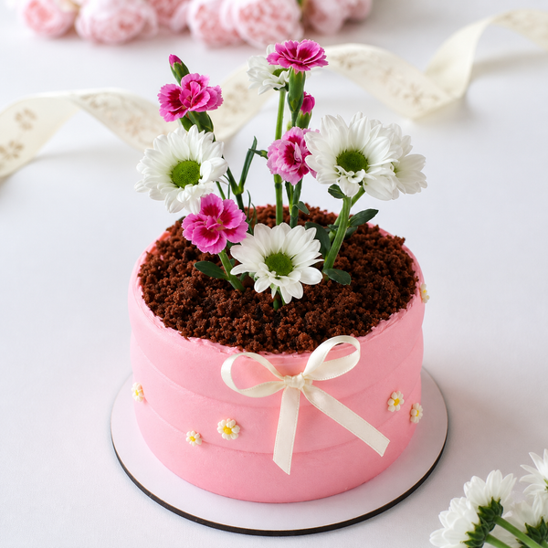 A pink triple-banded cake designed as a flower pot with chocolate soil, fresh white daisies, pink flowers, and a cream silk ribbon.
