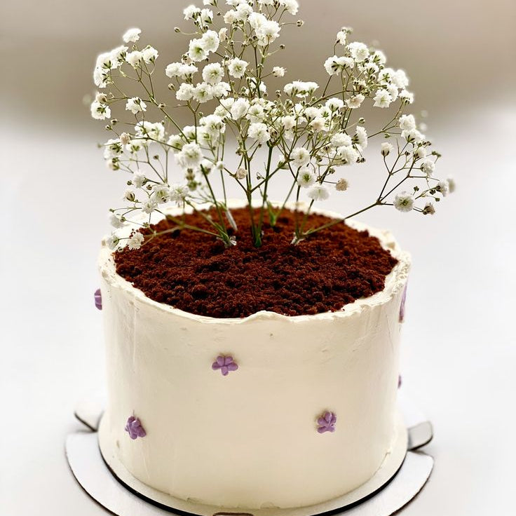 A white bento-style cake shaped like a flower pot with dark chocolate soil, fresh white baby's breath, and small purple piped flowers.