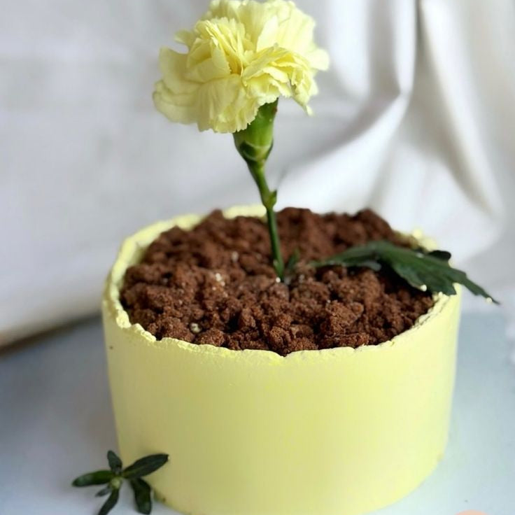 A pale-yellow cake shaped like a flower pot with dark chocolate soil and a single fresh yellow carnation blooming from the center.