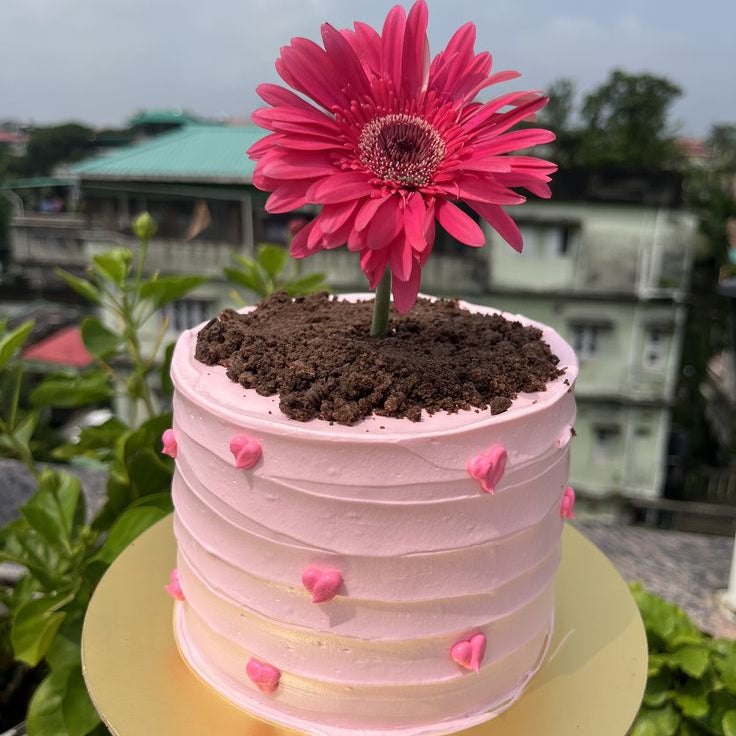 A pink textured cake shaped like a flower pot with chocolate soil, a fresh hot-pink Gerbera daisy, and small pink piped hearts.