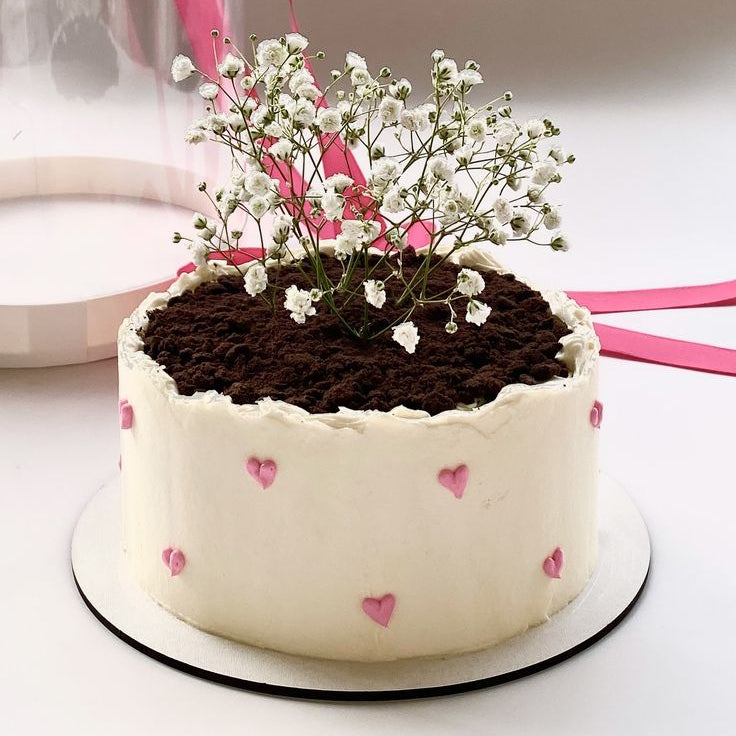 A white bento-style cake shaped like a flower pot with chocolate soil, fresh baby's breath flowers, and tiny pink piped hearts.