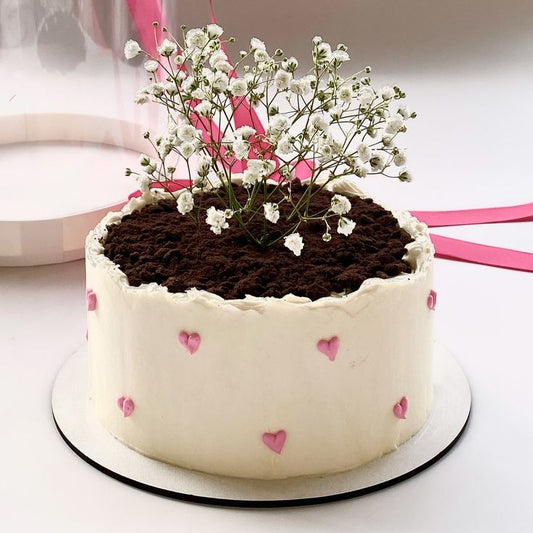 A white bento-style cake shaped like a flower pot with chocolate soil, fresh baby's breath flowers, and tiny pink piped hearts.