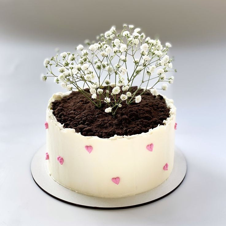 A white cake shaped like a flower pot with chocolate soil, fresh white baby's breath flowers, and tiny pink piped hearts.