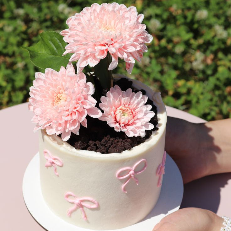 An ivory cake designed as a flower pot with chocolate soil, fresh pink chrysanthemums, and hand-piped pink bows.