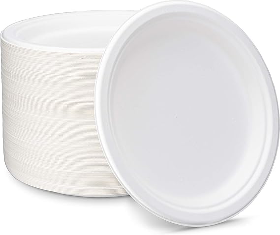Disposable Plates (10 Pcs)