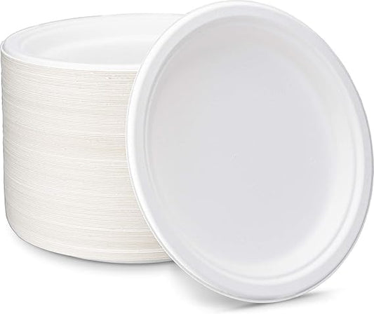 Disposable Plates (10 Pcs)