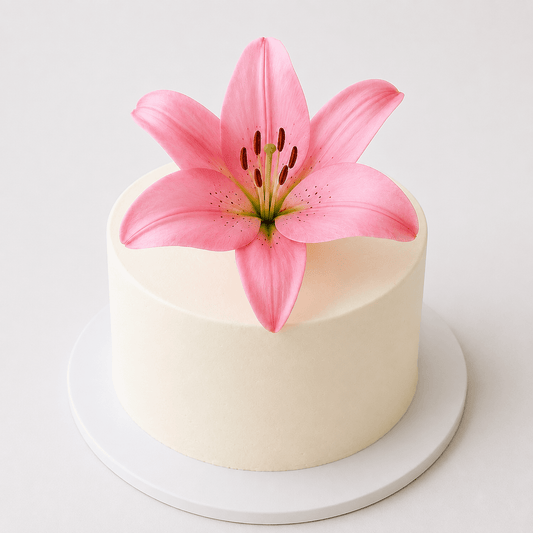 A tall minimalist round celebration cake with smooth ivory buttercream frosting, topped with a single large, open pink lily bloom resting in the center on a white board.